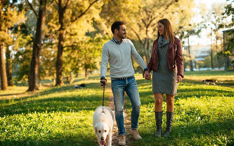 Couple walking with their dog in a local park 